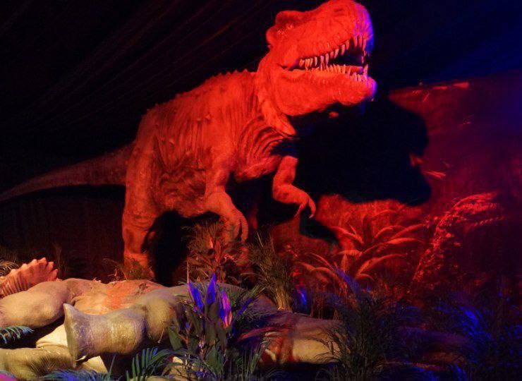Expo Dinosaurios llega a Tizimín, Valladolid y Mérida para el disfrute de  las familias yucatecas - Reflejo Público