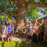 Mérida más Verde: Protección y Conservación de Árboles Patrimoniales en la Ciudad