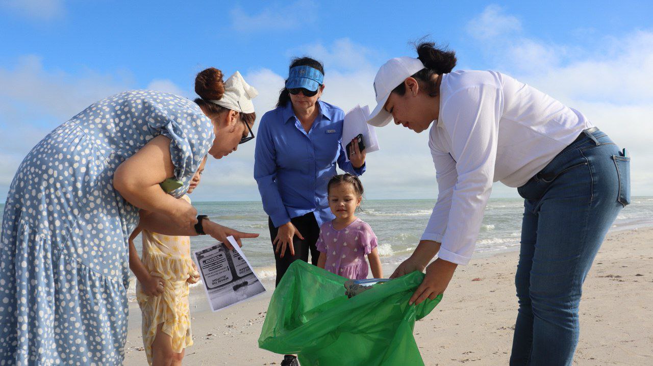 Llegada de medusas a Progreso medidas de prevención en playas