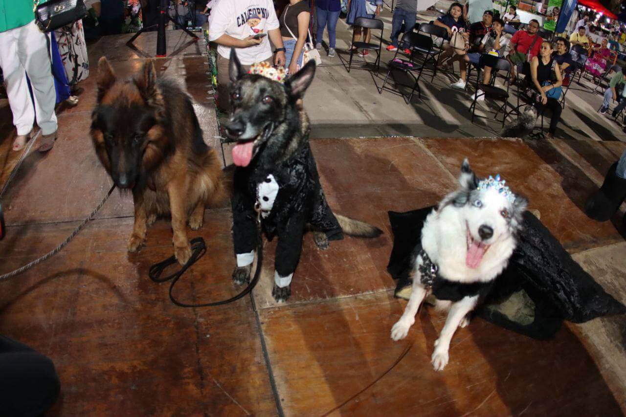 Coronación de reyes perrunos en el Carnaval Amazónico 2025