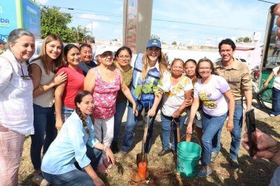 Destina Mérida 250 mil plantas para arborización en Mérida