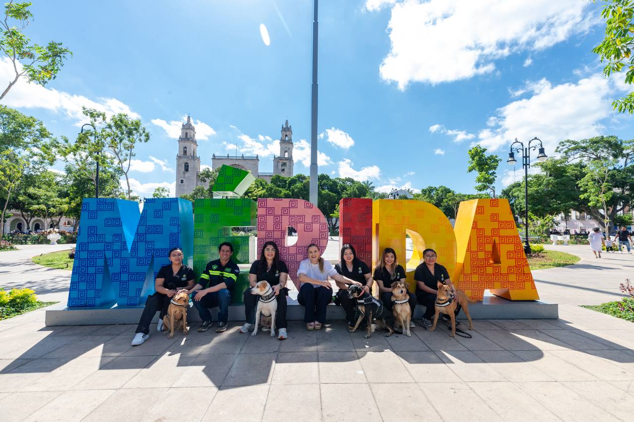 Apoyo emocional es parte del nuevo programa “De la calle al corazón”
