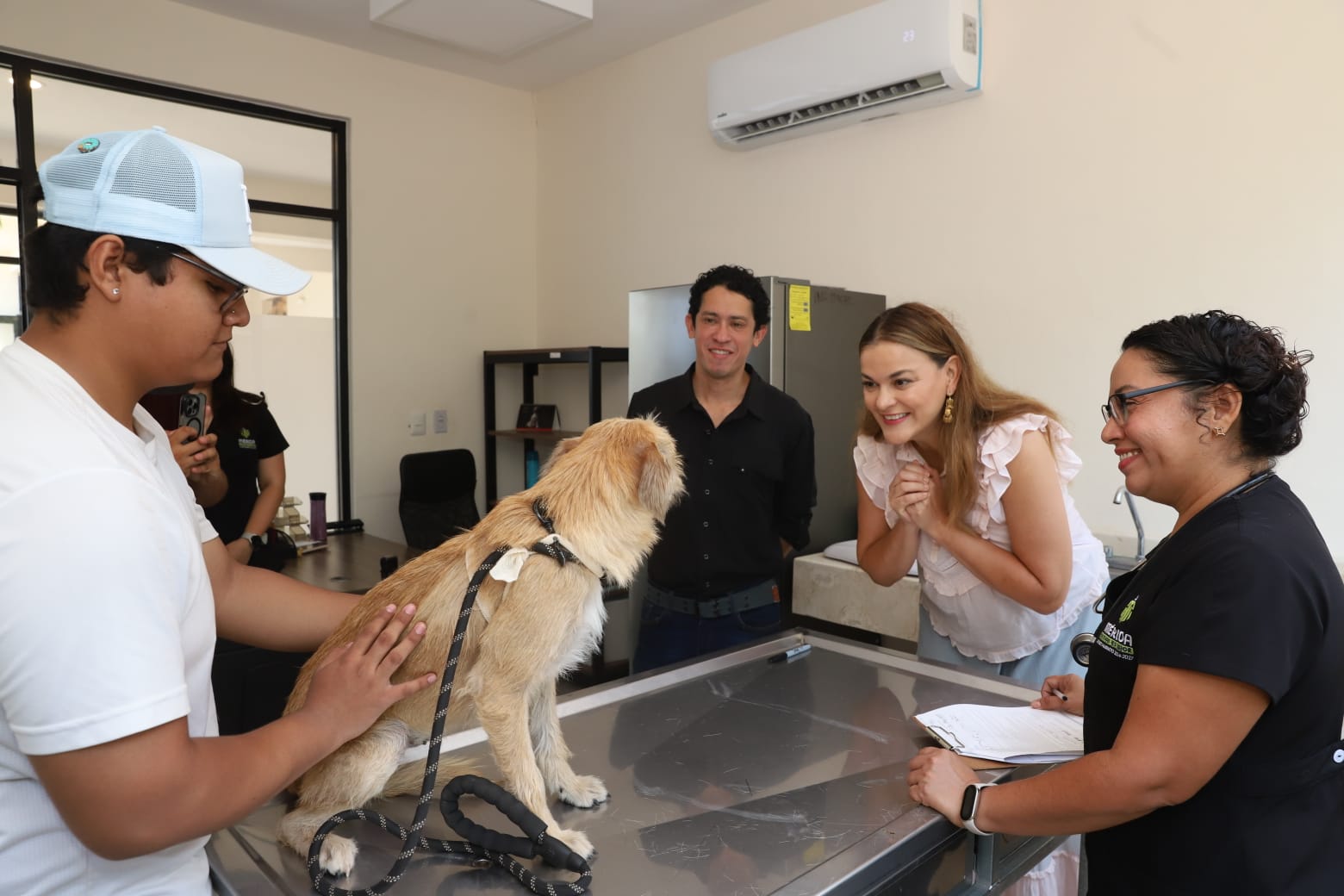 Bienestar animal en Mérida impulsa adopciones desde el centro municipal