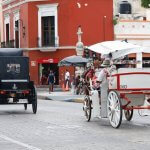 Caballos de calesas serán protegidos con medidas municipales