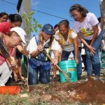 Cruzada Forestal 2025 plantará 8,500 árboles en 18 días en Mérida