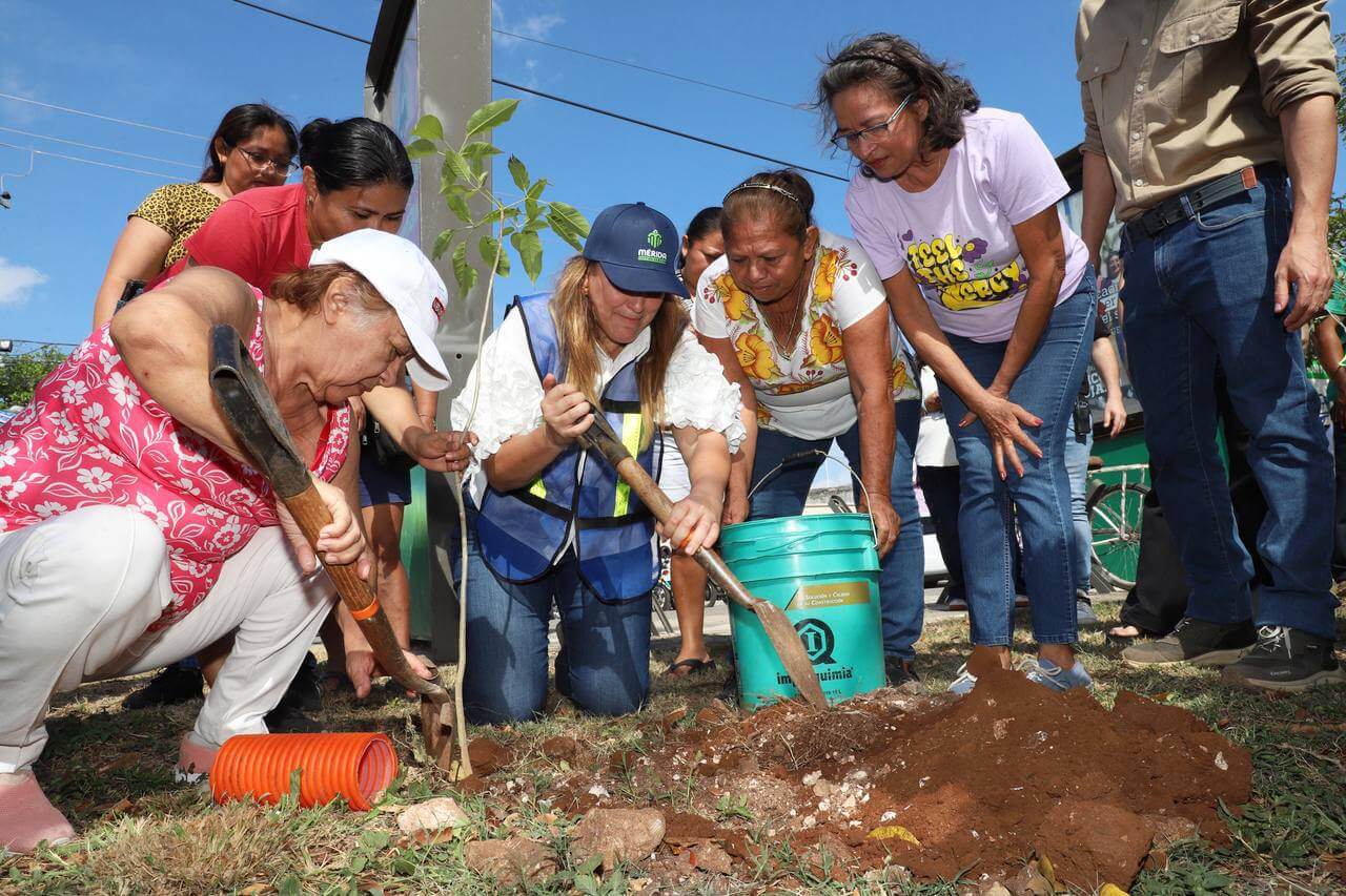 Cruzada Forestal 2025 plantará 8,500 árboles en 18 días en Mérida