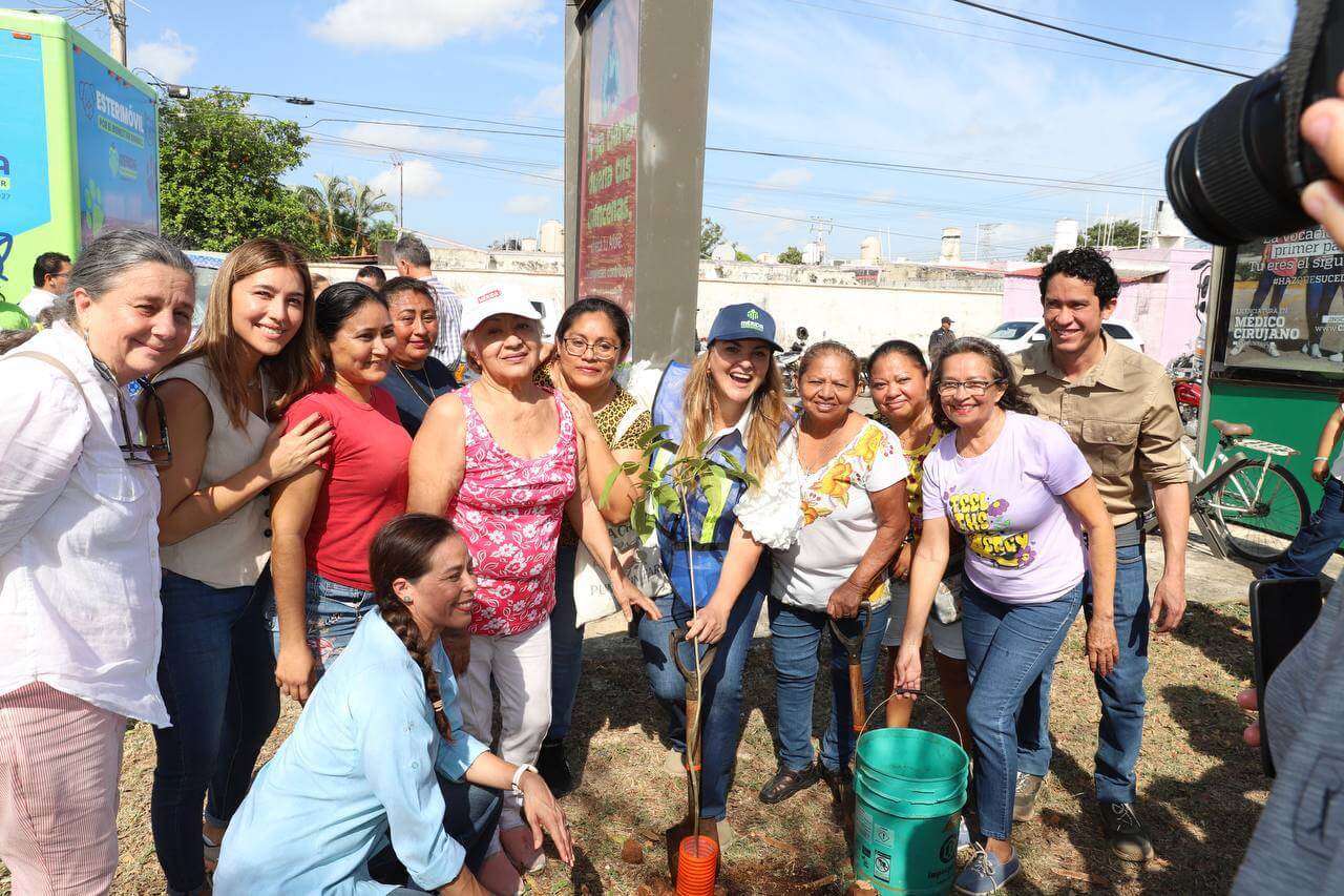 Cruzada Forestal 2025 plantará 8,500 árboles en 18 días en Mérida