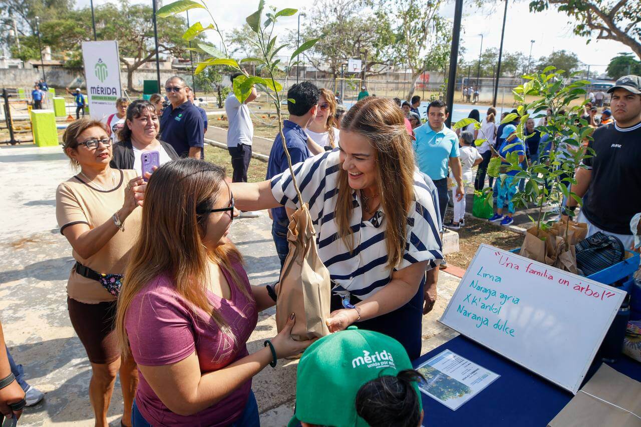 Cruzada Forestal 2025 plantará 8,500 árboles en 18 días en Mérida