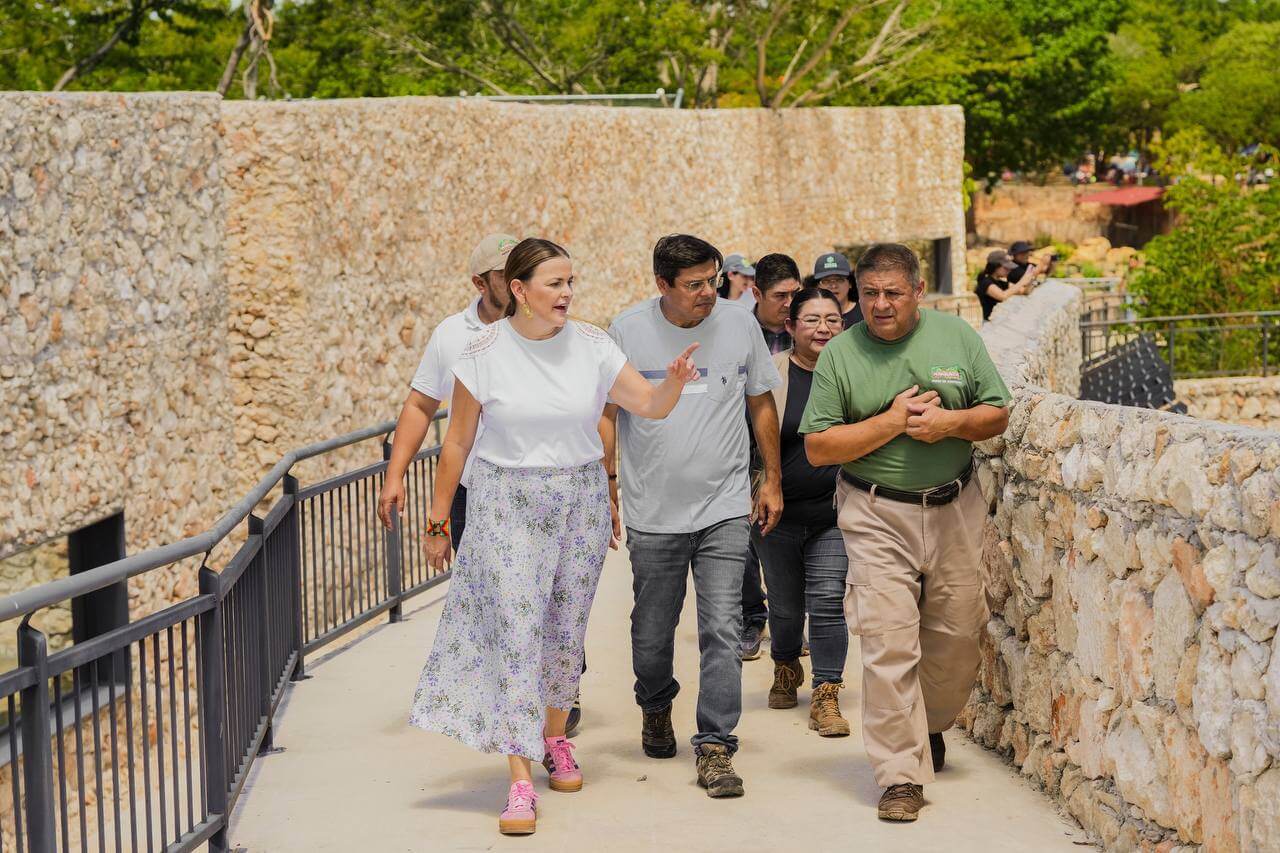 Centro de rescate Animaya registra 35% de reintegración a hábitat natural