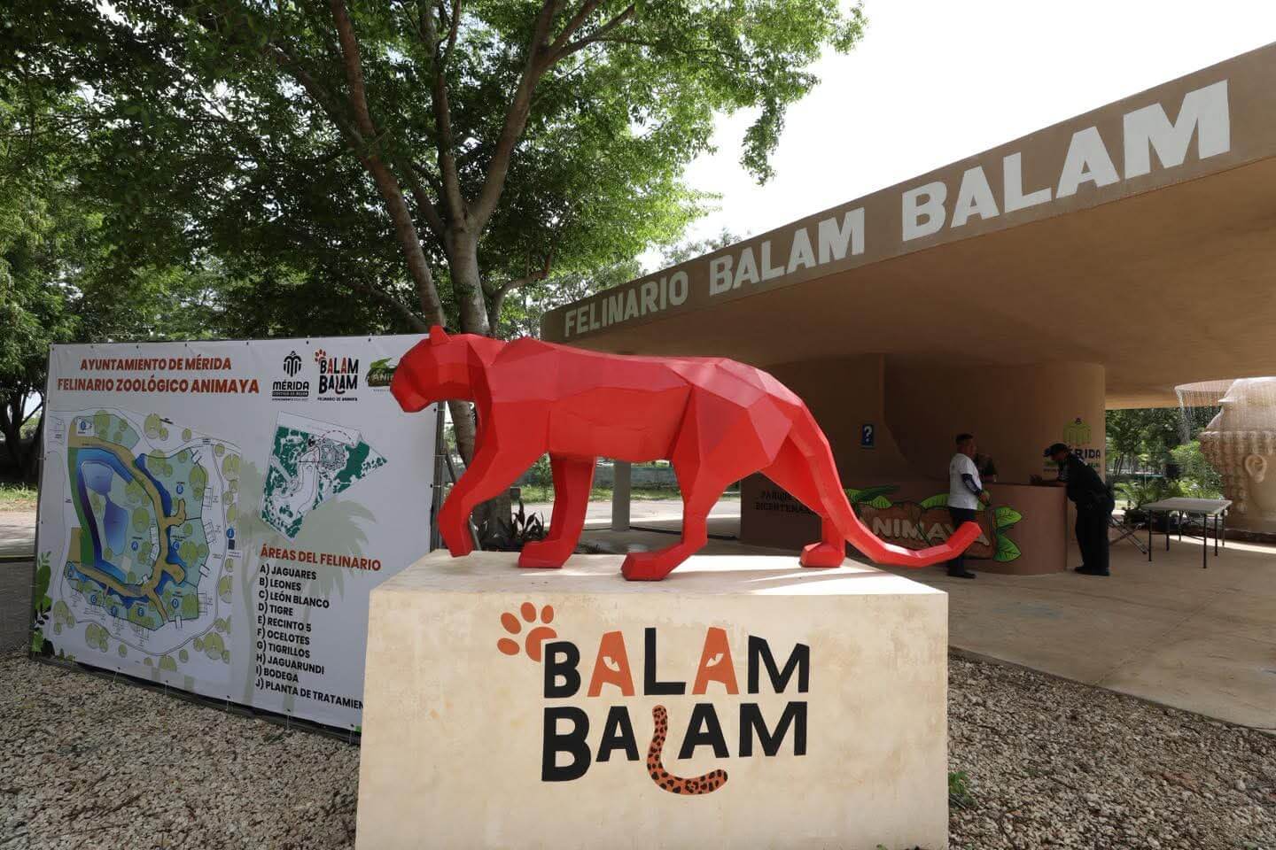 Felinario Balam Balam impulsa conservación de jaguares y ocelotes en Mérida
