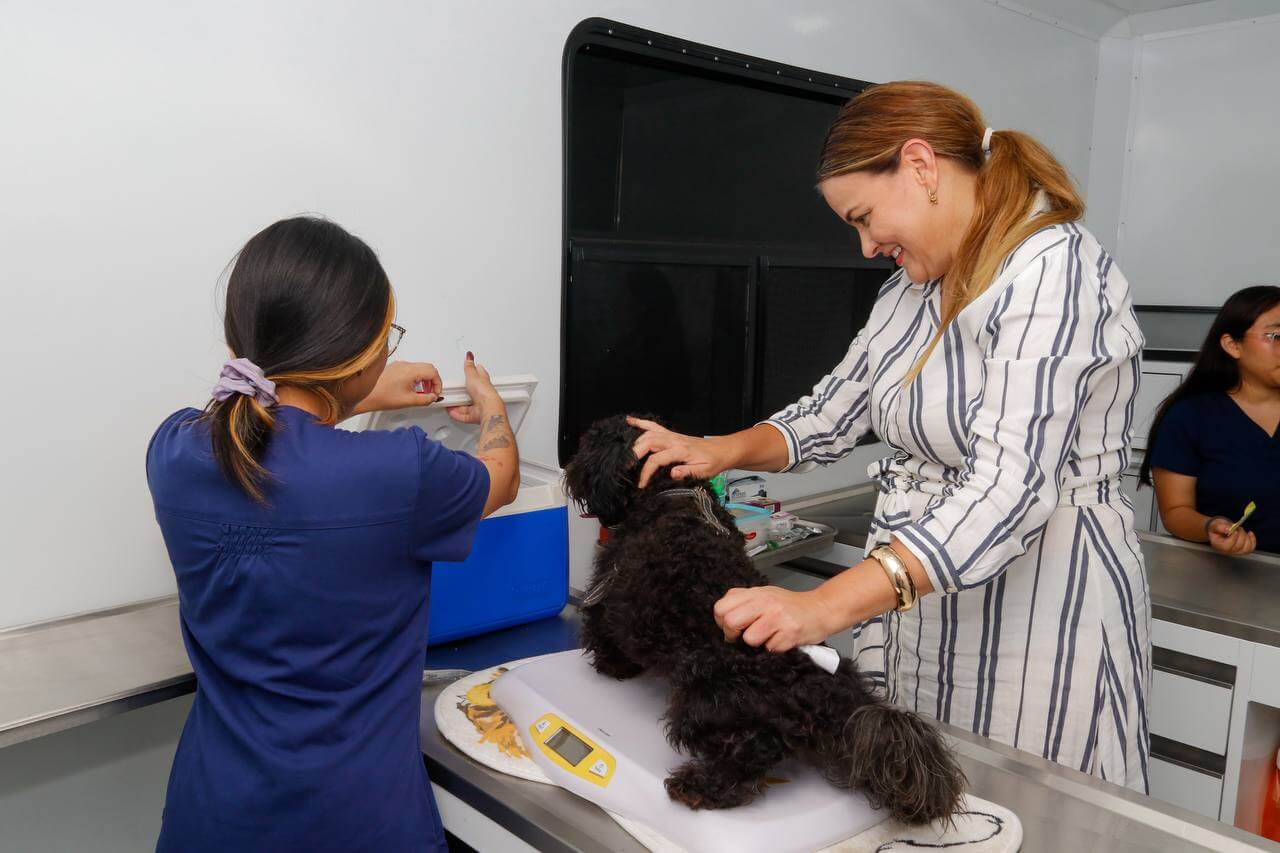 Mega Jornada de Esterilización atenderá 600 mascotas en Caucel y Vergel