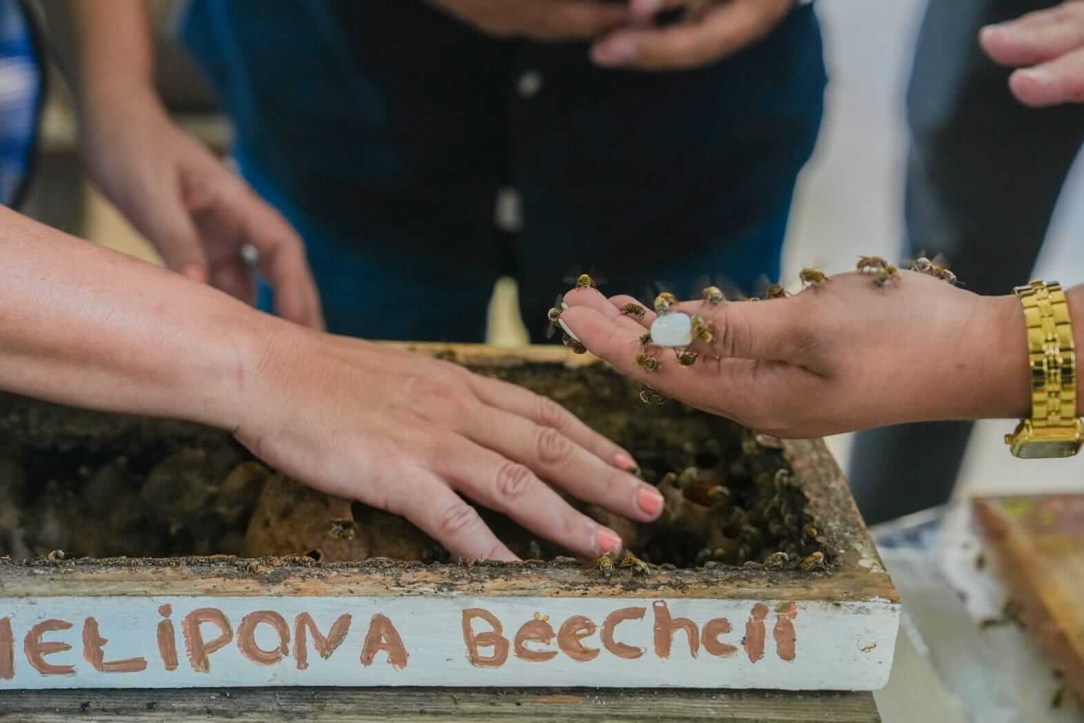 Comisaría de Xcunyá recibe apoyos para proyectos turísticos comunitarios