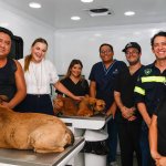Mega Jornada de Esterilización atenderá 600 mascotas en Caucel y Vergel