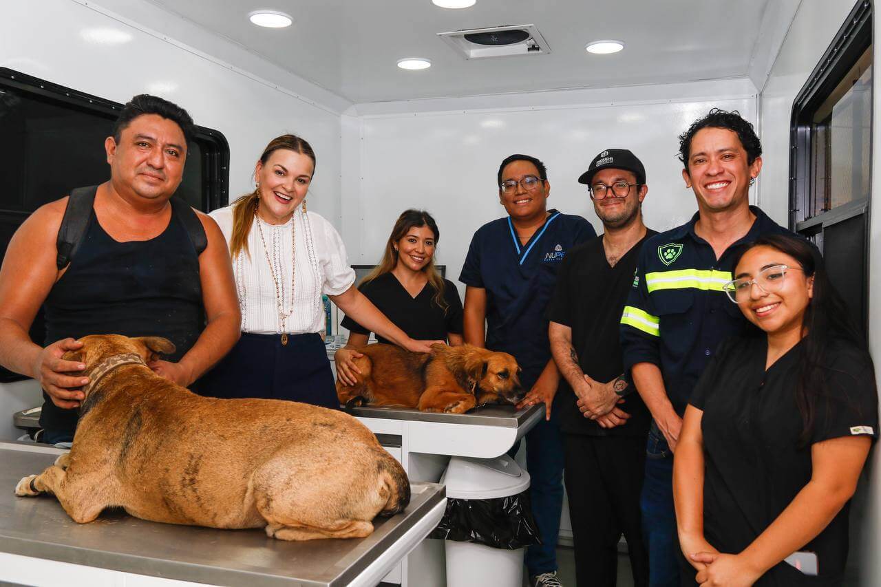 Mega Jornada de Esterilización atenderá 600 mascotas en Caucel y Vergel
