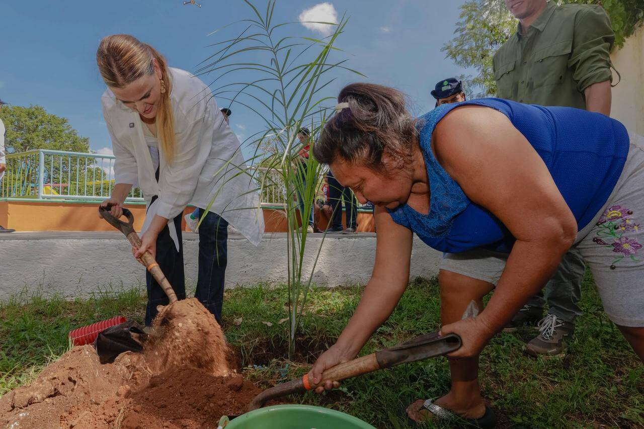 Mérida Verde suma 44 mil árboles adoptados por ciudadanos