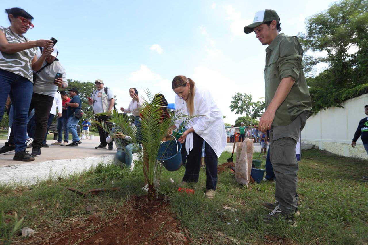 Mérida Verde suma 44 mil árboles adoptados por ciudadanos