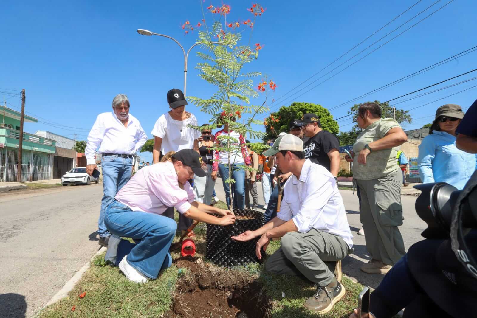 Árbol 100 con valor cultural se declara en la colonia Mulsay