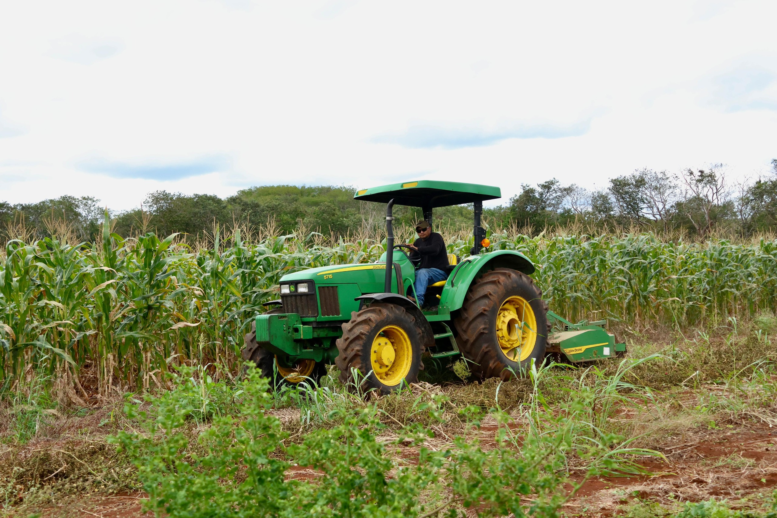 Mecanización de Muna