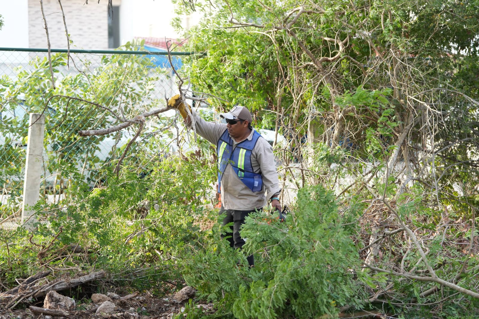 Fraccionamiento Las Américas define acciones ambientales con participación ciudadana