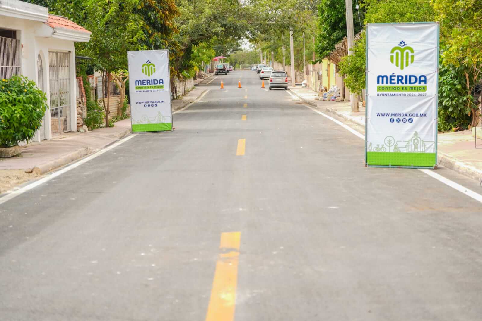 gobierno de cecilia patron