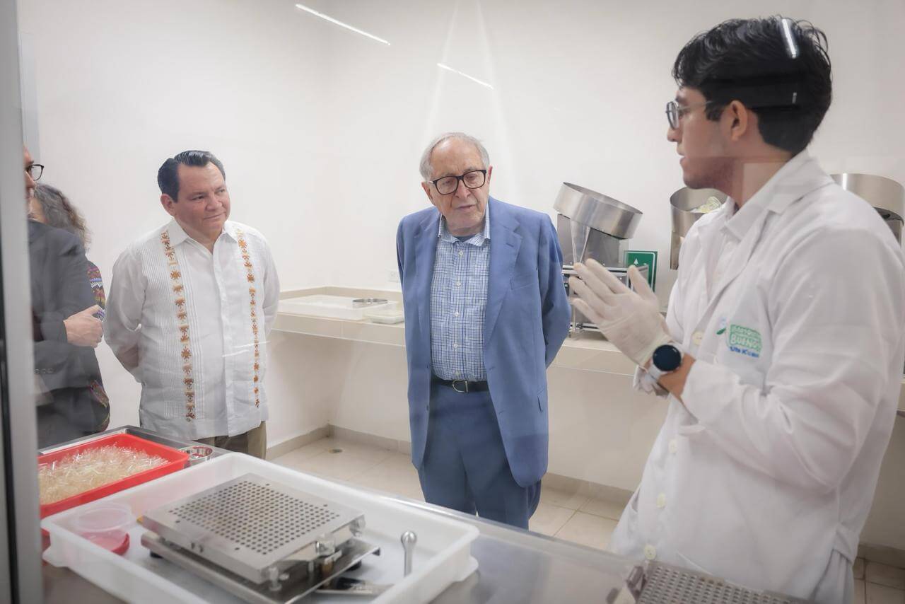 estrategia Aedes–Wolbachia en Mérida