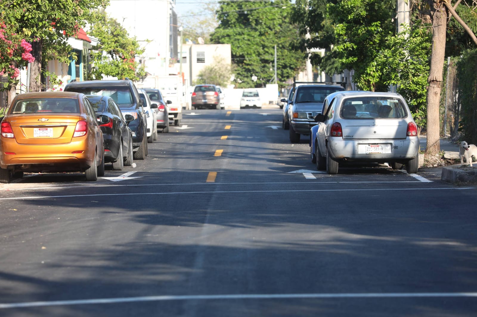 Vergel y San Antonio Kaua reciben rehabilitación de parque y calles