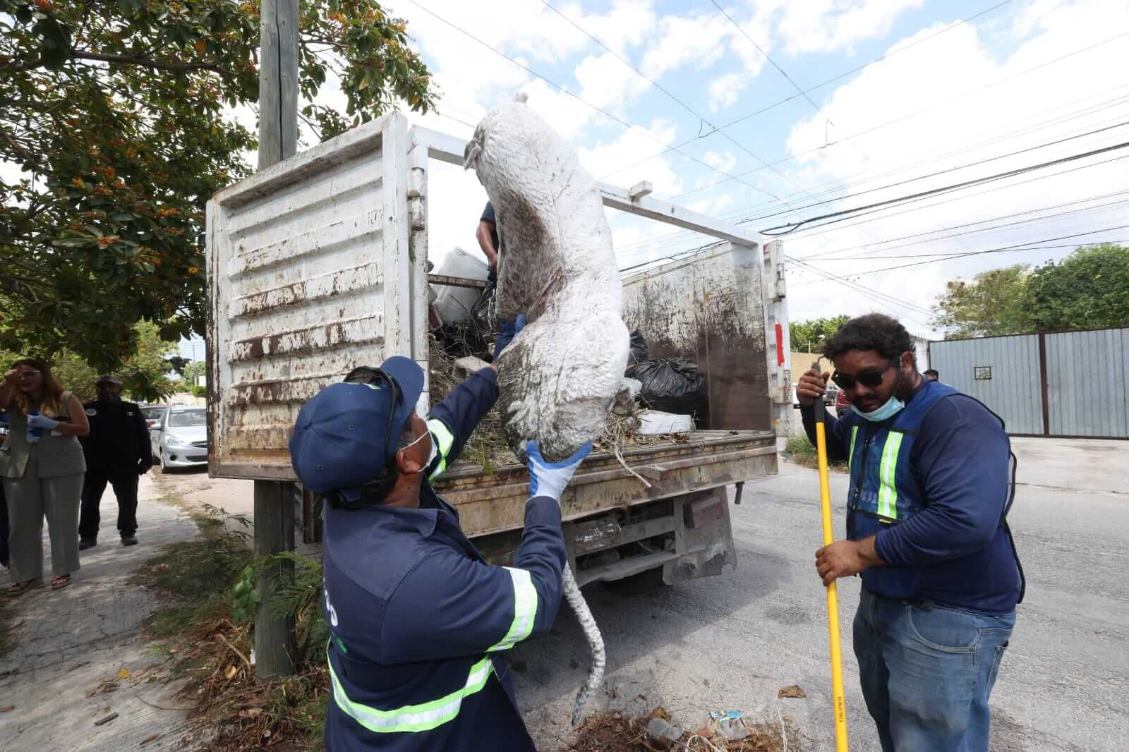 Ordenamiento urbano en Mérida refuerza retiro de vehículos y limpieza en colonias