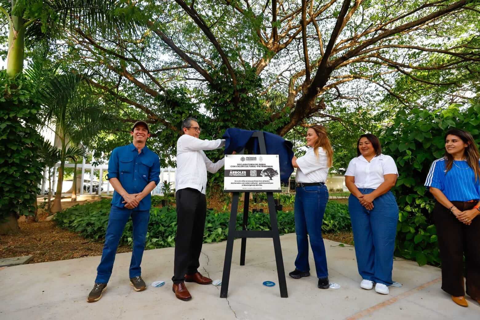 Patrimonio verde en Mérida protege 174 árboles en la ciudad