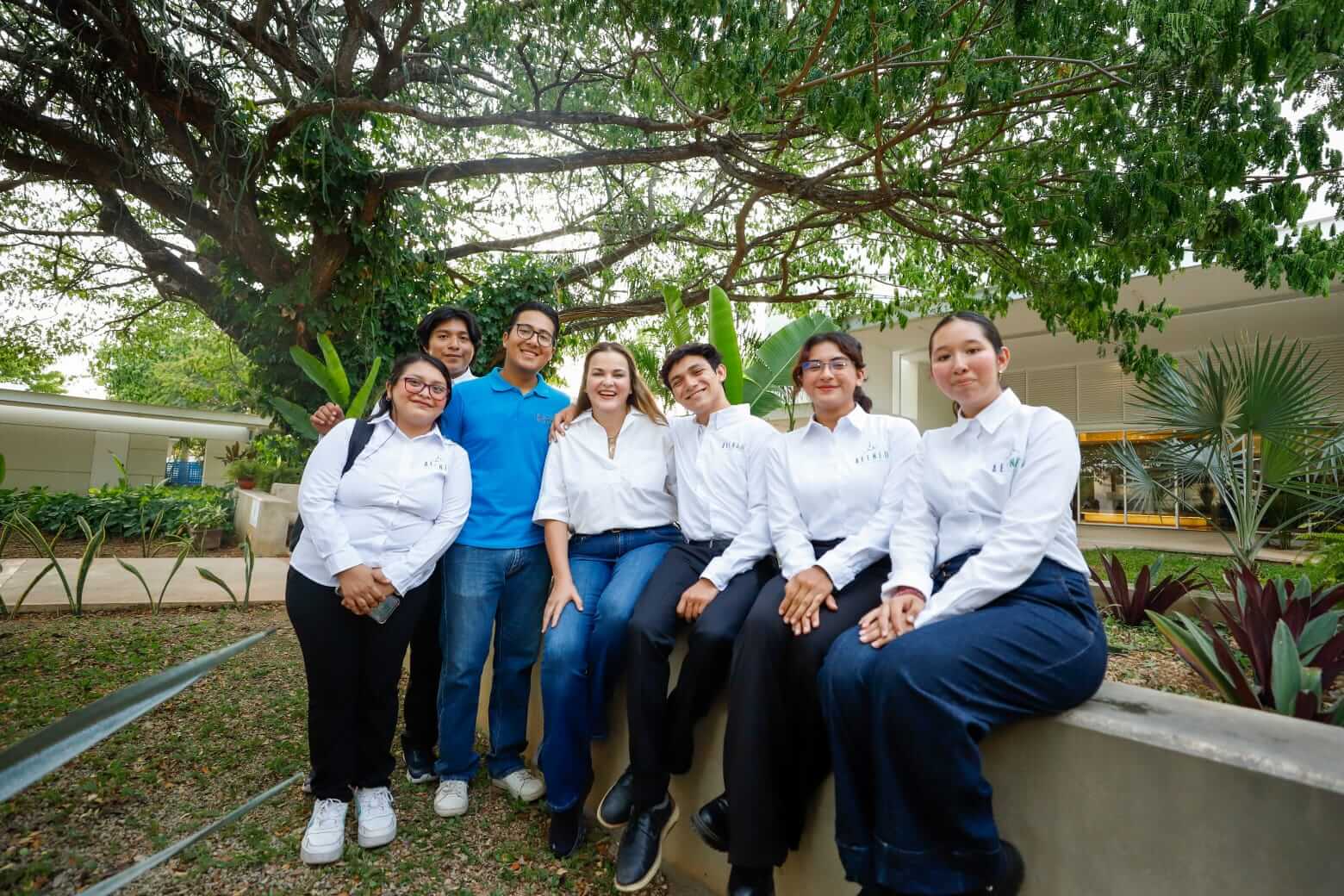 Patrimonio verde en Mérida protege 174 árboles en la ciudad