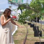 Cecilia Patrón inicia trabajos de arborización en el Circuito Colonias poniente.