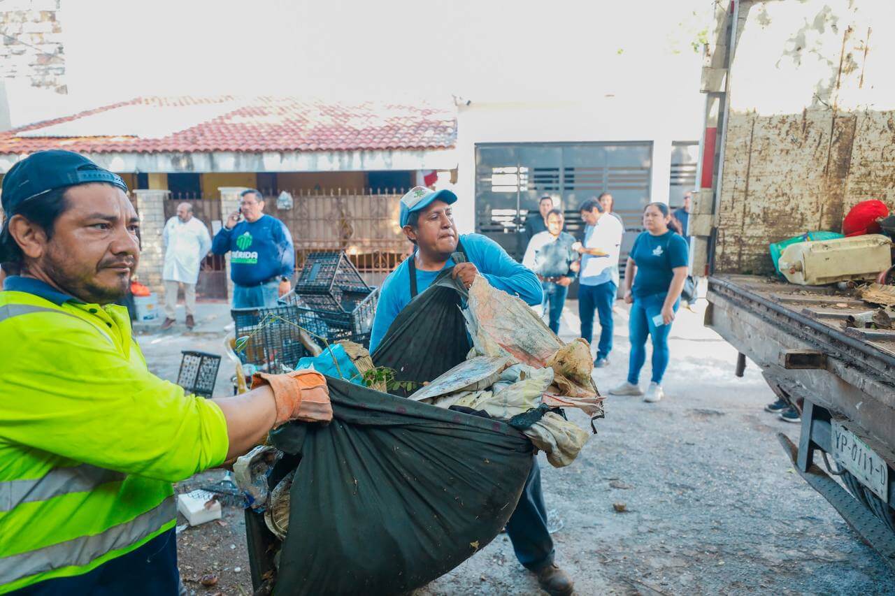 Mérida Ordenada registra 732 clausuras por construcción y uso de suelo