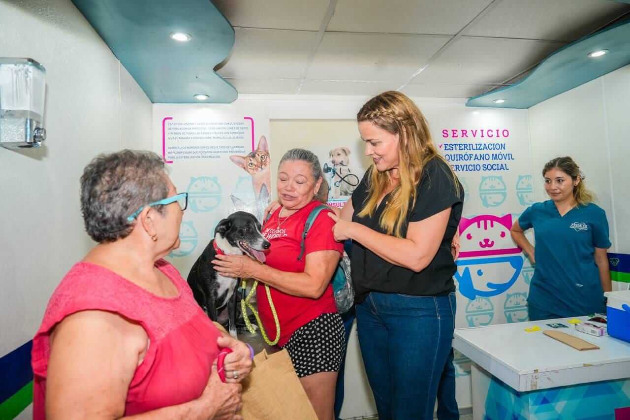 Bienestar animal en Mérida registra 4 mil esterilizaciones de mascotas