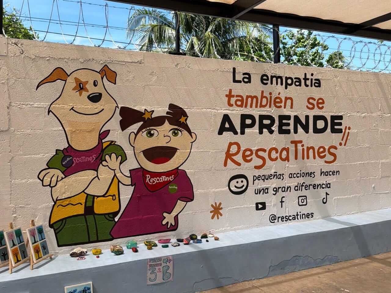 Protección animal en Mérida atiende más de 1,300 reportes de maltrato