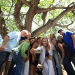 Árbol Patrimonio Verde de Mérida alcanza 200 ejemplares protegidos