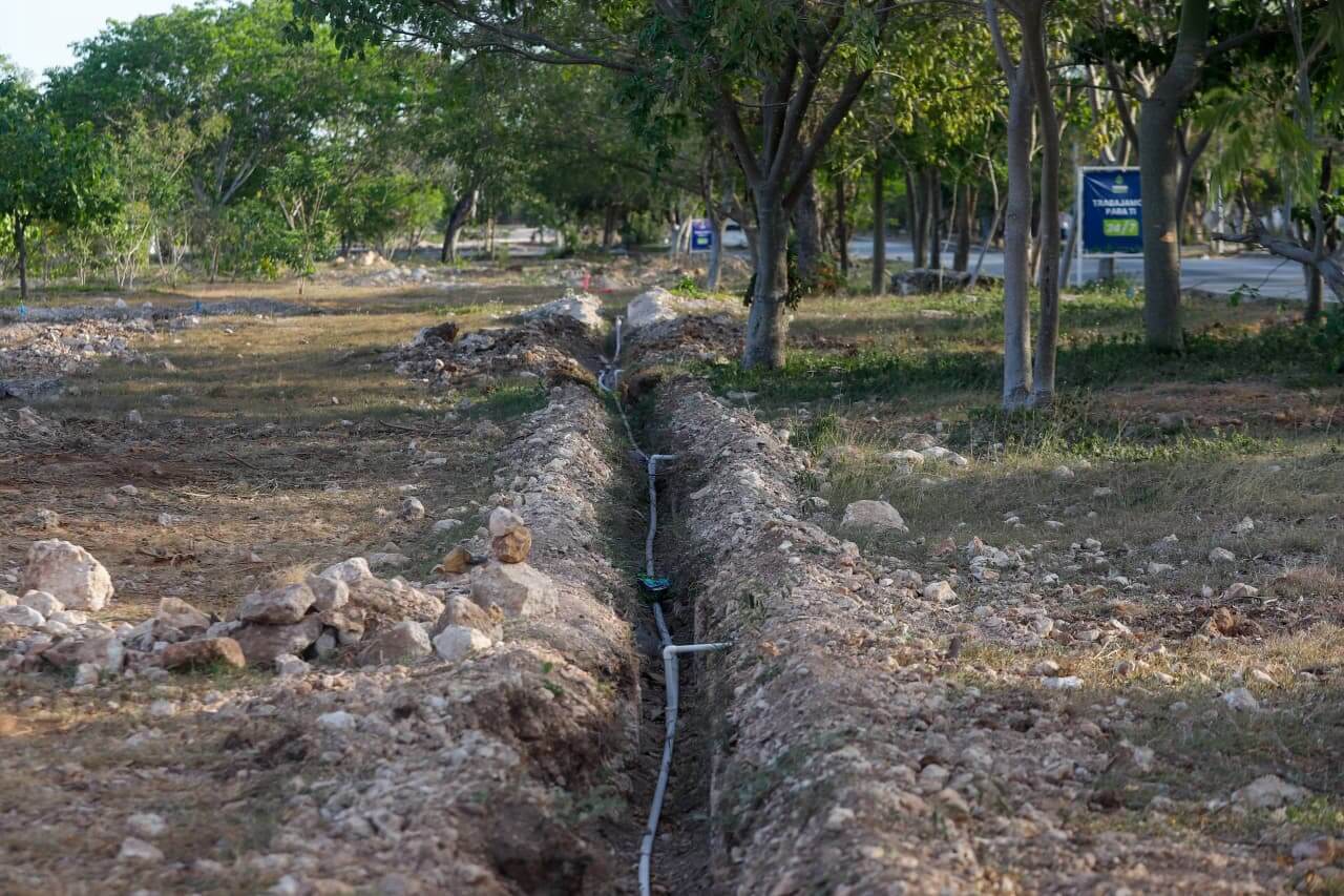 Corredor Verde de Ciudad Caucel alcanza 90% de avance en Mérida
