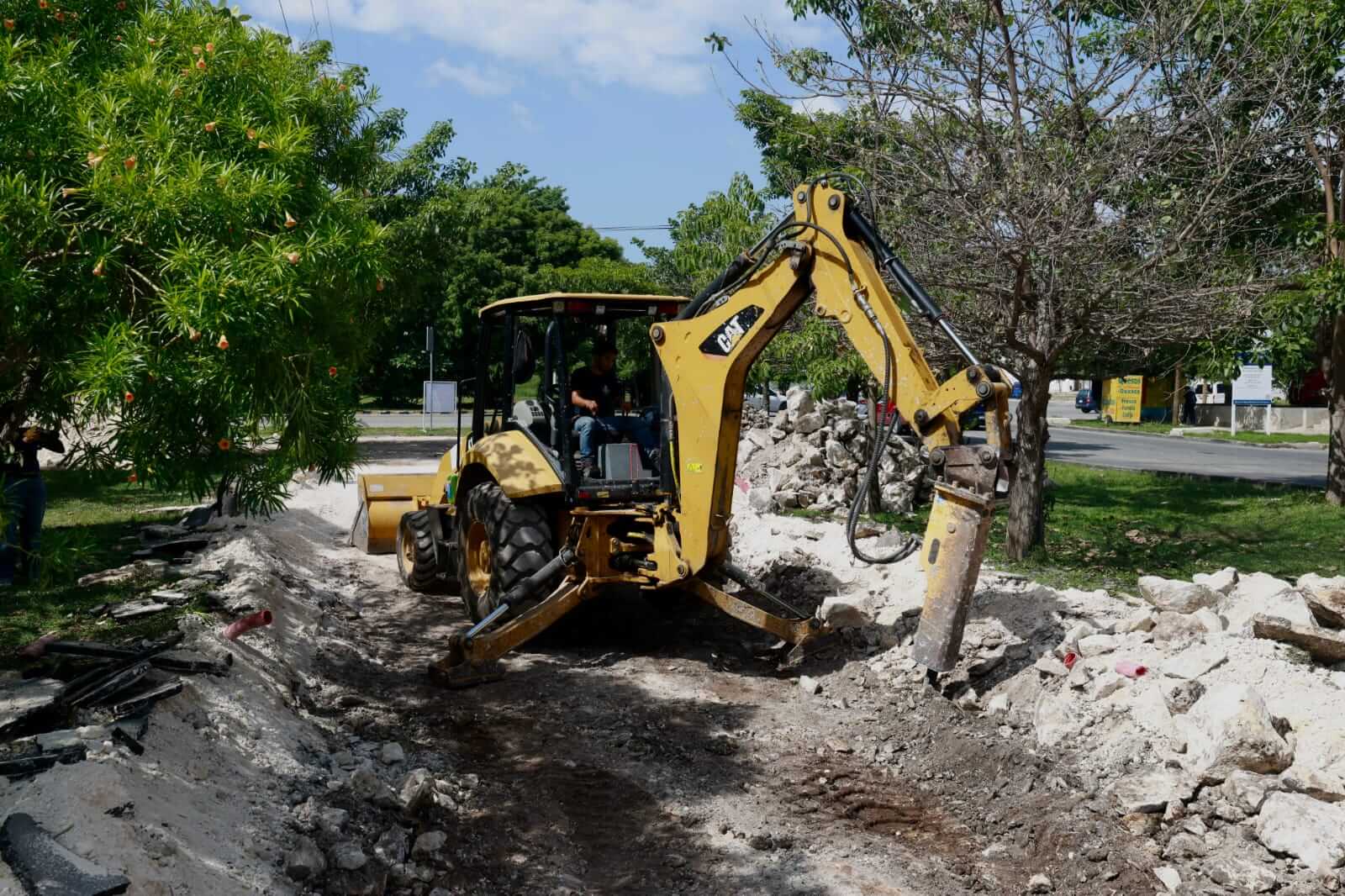 Jardines de lluvia en Mérida buscan reducir inundaciones por lluvias