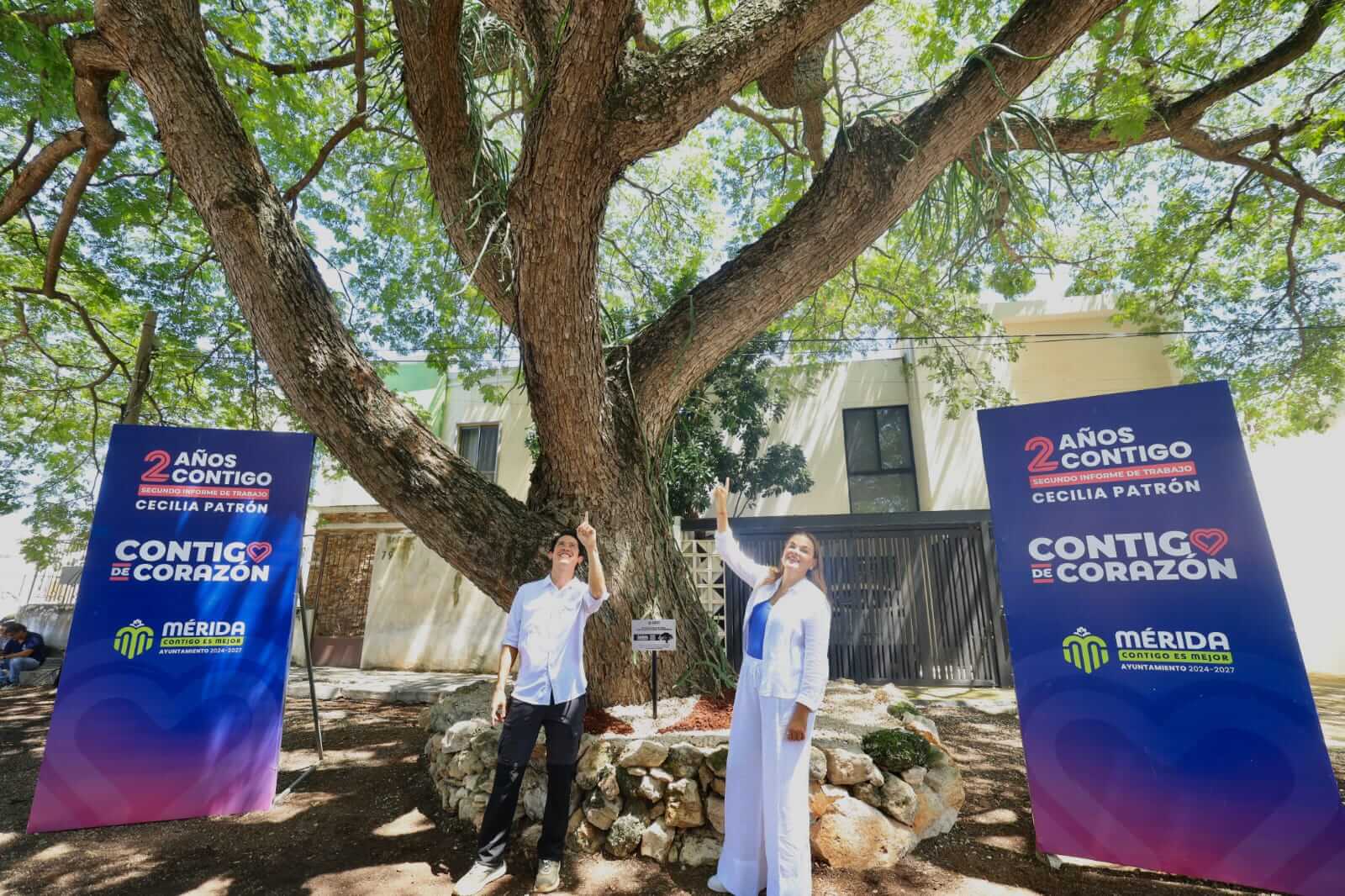 Árbol Patrimonio Verde de Mérida alcanza 200 ejemplares protegidos