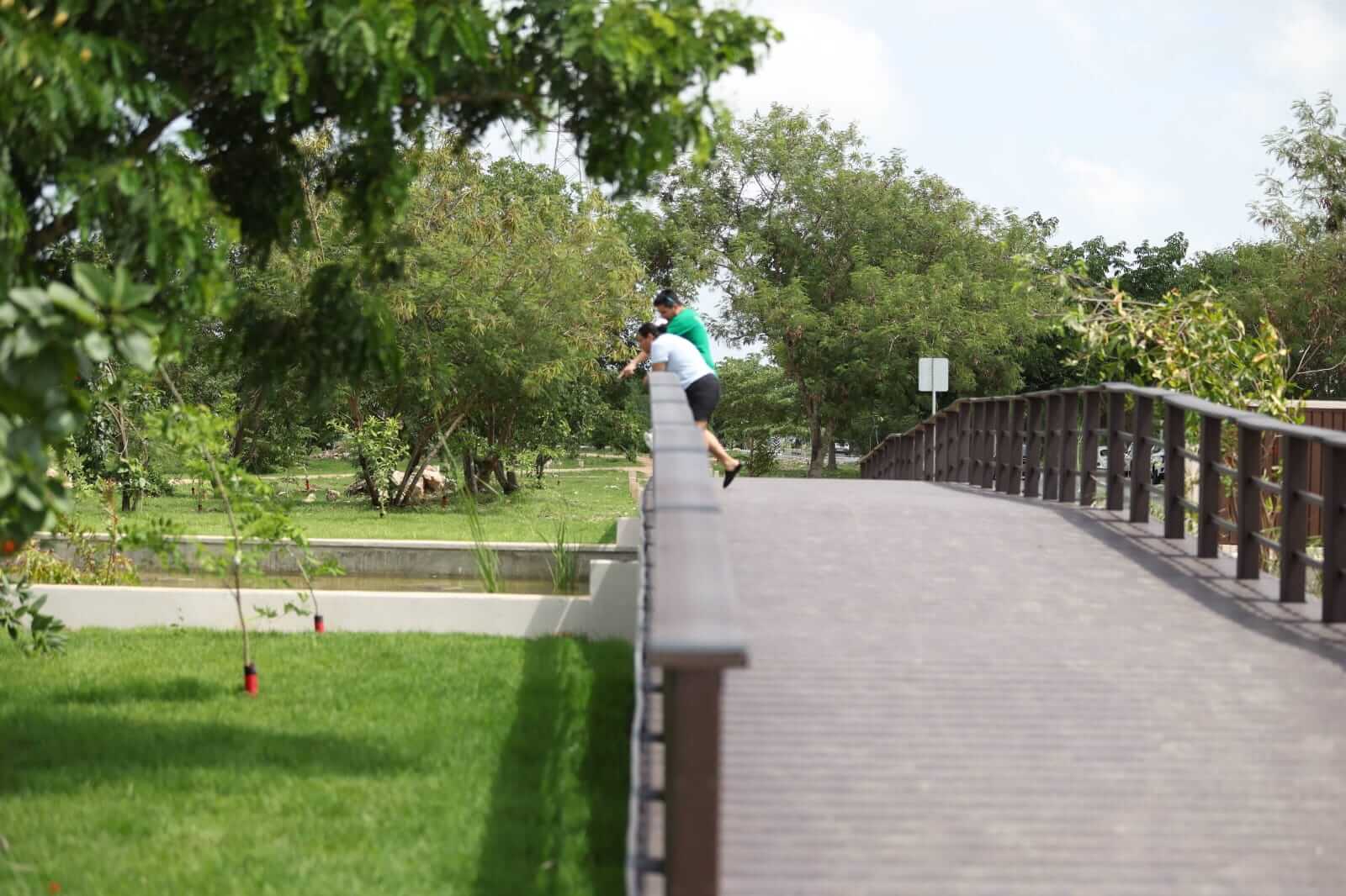 Corredor Verde de Mérida abre en Ciudad Caucel con 29 especies