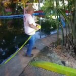 Ayuntamiento de Mérida inicia protocolos preventivos en el lago del Centenario y el humedal del Parque Ecológico del Poniente