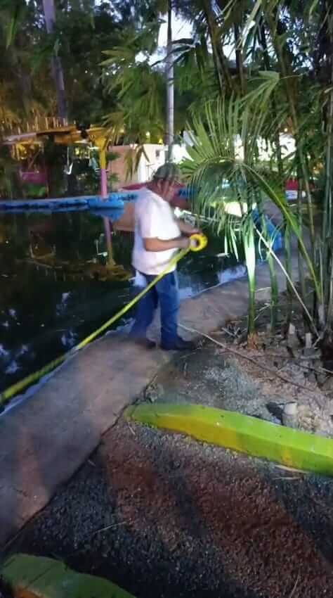 Ayuntamiento de Mérida inicia protocolos preventivos en el lago del Centenario y el humedal del Parque Ecológico del Poniente